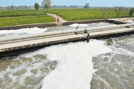 陜西首個人工濕地污水處理廠正式建成 綠色治水的新里程碑