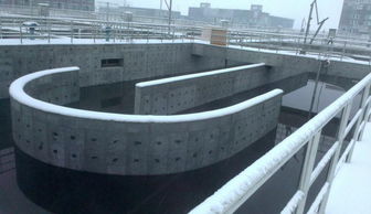 新疆甘泉堡污水處理廠啟動人工濕地建設，助力工業園區生態升級