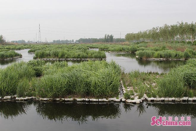 人工濕地助力濟寧新材料產業園高質量發展