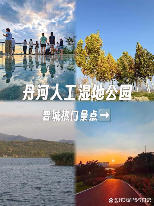 人工濕地 功能、類型與應用前景