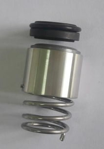 南京itt賽萊默不銹鋼sv泵機械密封配件